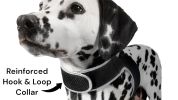 Waterproof Tracking Collars for Hunting Dogs Realtime GPS Pet Tracker Size:M