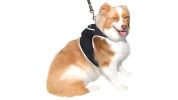 Waterproof Tracking Collars for Hunting Dogs Realtime GPS Pet Tracker Size:M