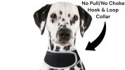 Mini Waterproof GPS Tracking Collars for Hunting Dogs w/ Tracking App Size:M