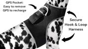 Mini Waterproof GPS Tracking Collars for Hunting Dogs w/ Tracking App Size:M