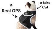 Mini Waterproof GPS Tracking Collars for Hunting Dogs w/ Tracking App Size:M