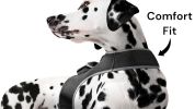 NEW Dog Tracker Device Collar Mount Waterproof Portable GPS Pet Finder Size:M