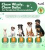 Flea and Tick Prevention for Dogs Chewables Natural Dog Flea and Tick Control Supplement Flea & Tick Chews for Dogs Oral Flea Pills for Dogs Pest Defe